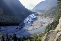 Einfluss der Habitatvielfalt auf den Artenreichtum