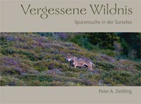 Vergessene Wildnis