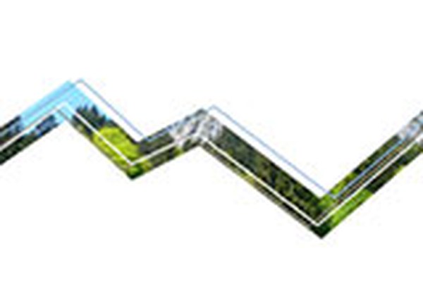 Waldwirtschaft im Klimawandel