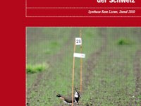 Gefährdete Arten in der Schweiz