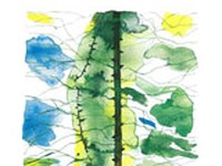 Binding-Preis für Natur- und Umweltschutz 2010