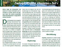 Klimawandel-Anpassung: Zwänge, Risiken, Chancen – Teil 1