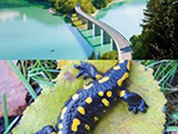 Schritt für Schritt zum ökologischen Verbund