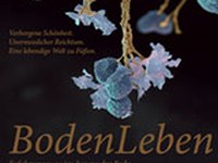 BodenLeben - Erfahrungsweg ins Innere der Erde