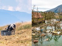 Zwischen Dürre und Flut