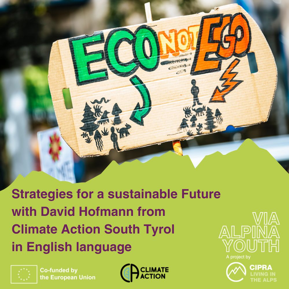 Money, Activism, Climate Action: Strategies for a Sustainable Future
