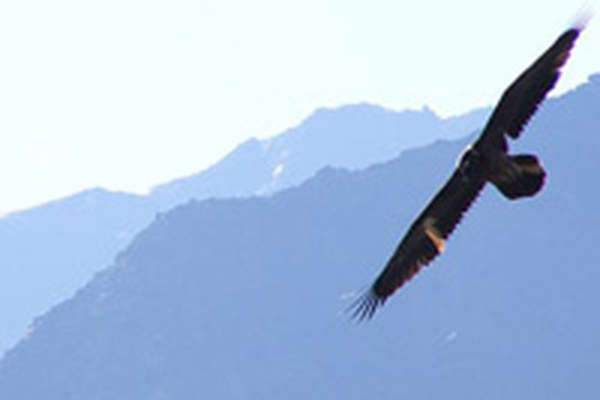 Transalpine exchange on research into protected areas