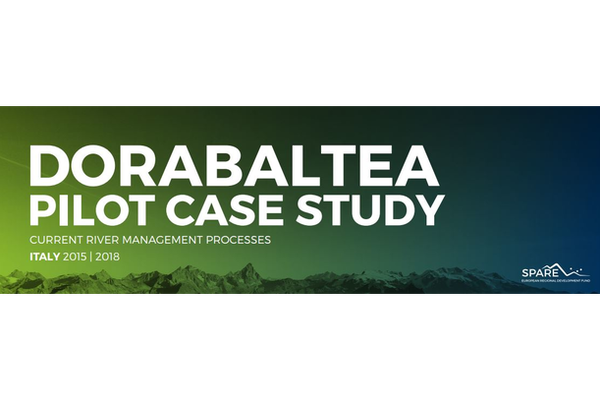 “A picture speaks a thousand words” - SPARE Project communicating through multimedia