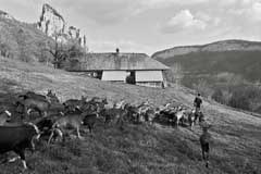 Future in the Alps comes to a close