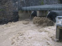 "RiskPlan" facilitates risk management