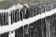 ECONNECT photo contest: clicks beyond borders