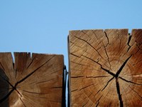 Compacts for everyone!