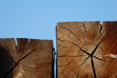 Compacts for everyone!