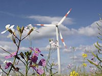 Kick-off for recharge.green project: connecting energy and nature