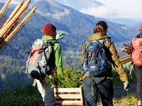 Climate crisis: solutions from nature