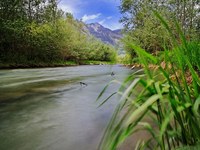 Green light for Nature Restoration in the EU