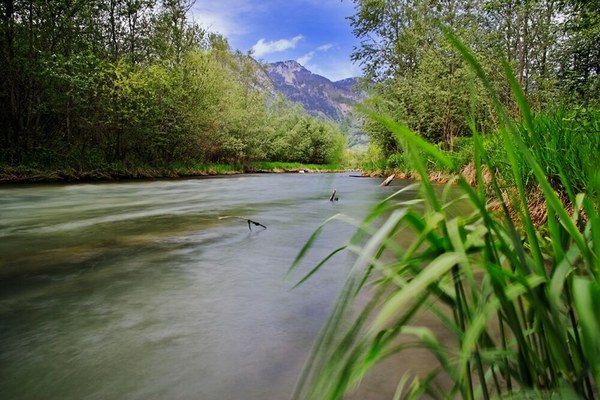 Green light for Nature Restoration in the EU