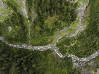 How much hydropower is ecologically sustainable ?