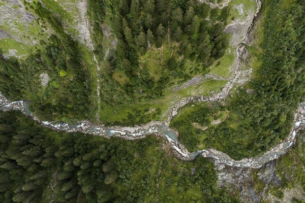 How much hydropower is ecologically sustainable ?