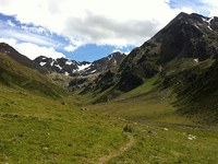 Rock ptarmigan may continue to nest