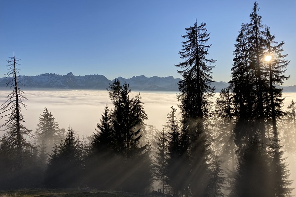 Alpine landscape is not renewable!