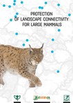 Protection of landscape connectivity for large mammals