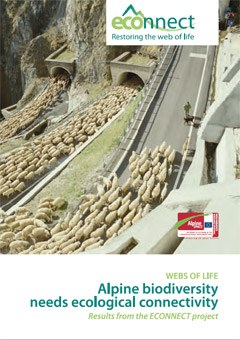 Webs of Life - Alpine biodiversity needs ecological connectivity