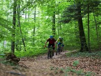 Pratique du VTT respectueuse de l’environnement