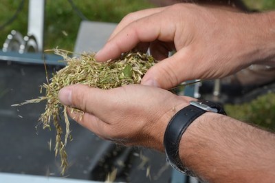 Renforcer la diversité naturelle : des territoires pilotes partagent leurs expériences