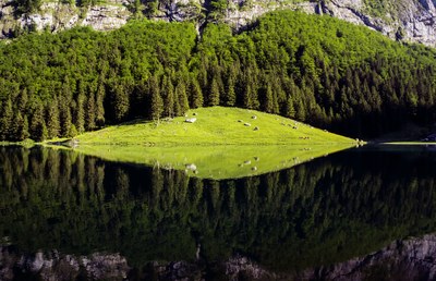 La valeur de la nature