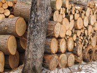 Modernisation du bois-énergie