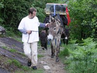 Préservation des plantes cultivées et des races d'animaux domestiques traditionnelles
