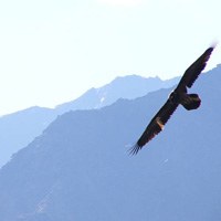 Echange transalpin dans le domaine de la recherche sur les espaces protégés