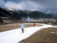 Le skieur - une espèce en voie de disparition ?