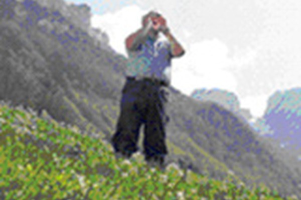 Forum pour la culture populaire suisse d'aujourd'hui