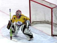 Arge Alp : le sport continue