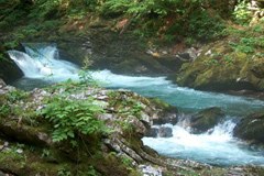 Soutien de la Bavière à la protection des eaux en Slovénie