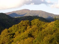 Jeux olympiques d'hiver dans le Caucase