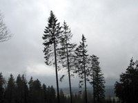 Météo et climat dans les Alpes