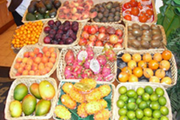 Une Maison tropicale grâce à l'eau de montagne