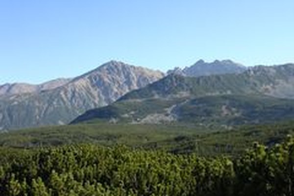 Qualité insuffisante des zones protégées dans l'UE