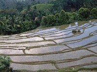 Regard scientifique sur les régions de montagne étrangères et leurs cultures