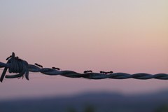 Un nouveau nom pour un bulletin qui a fait ses preuve