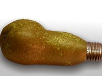 Une chaire en efficience énergétique dans le Vorarlberg