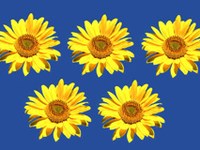 Le Vorarlberg et le Liechtenstein candidats à l'organisation du Festival  Olympique de la Jeunesse Européenne 2015