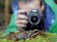 Des concours sur la biodiversité destinés aux photographes et aux agriculteurs