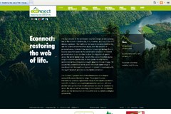 Un site ECONNECT compréhensible et visualisé