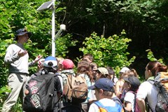 Phénoclim : un observatoire citoyen du changement climatique