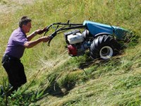 Plus d'argent pour l'agriculture de montagne et l'agriculture biologique