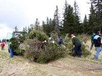 Slovénie : préserver le paysage rural des Préalpes